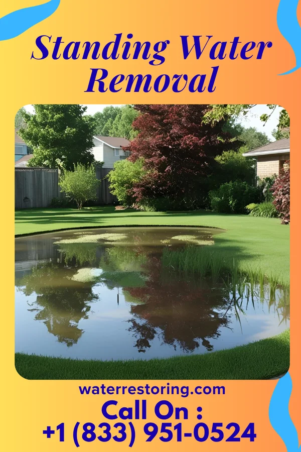 Standing Water Removal in White City, KS